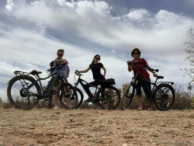 Image #1 from Paula Van Roy