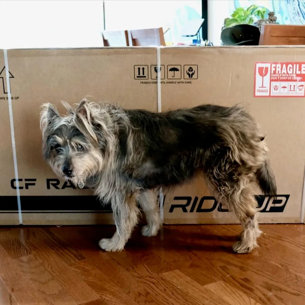 Image #1 from Charles Burton