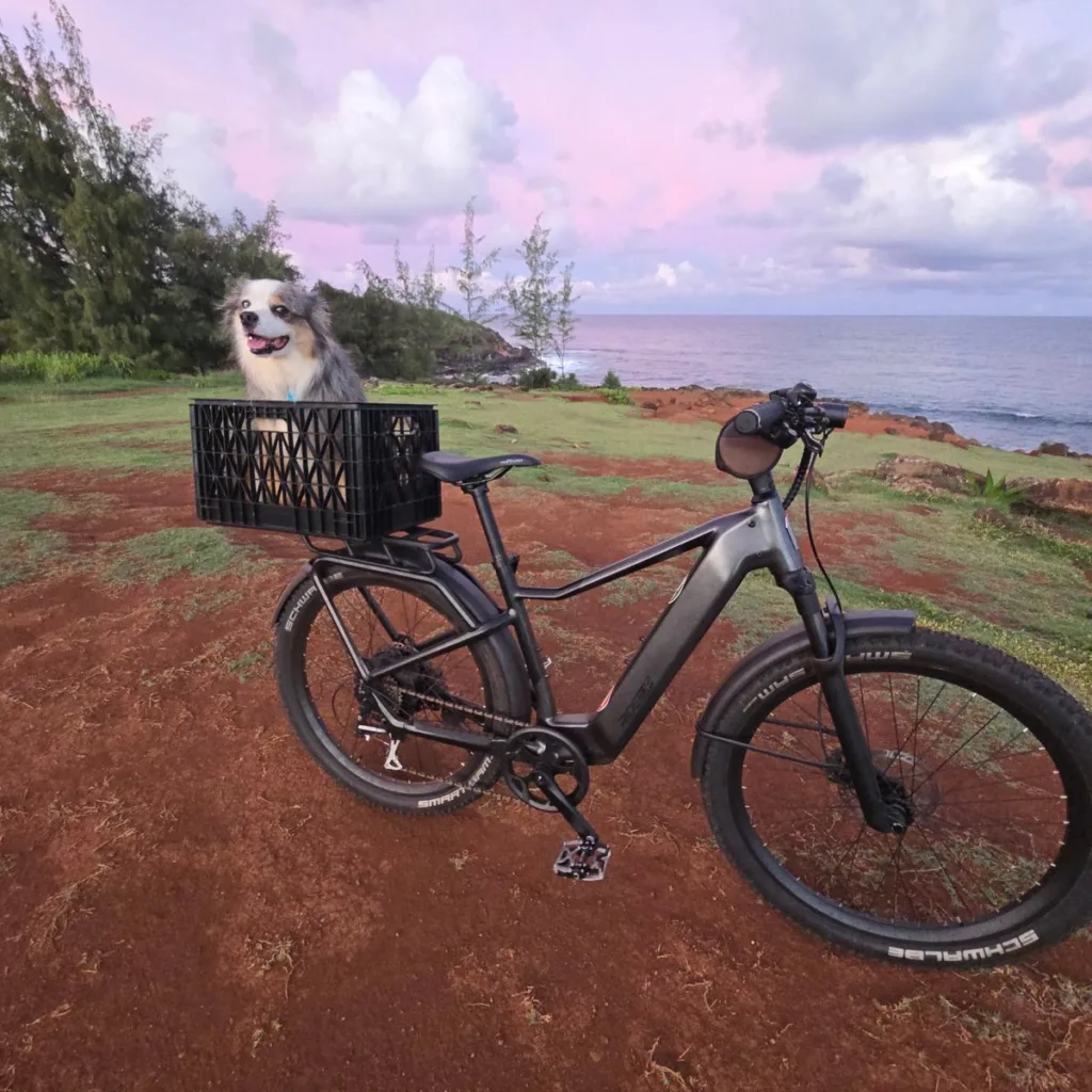 Image #1 from Greg Hanson