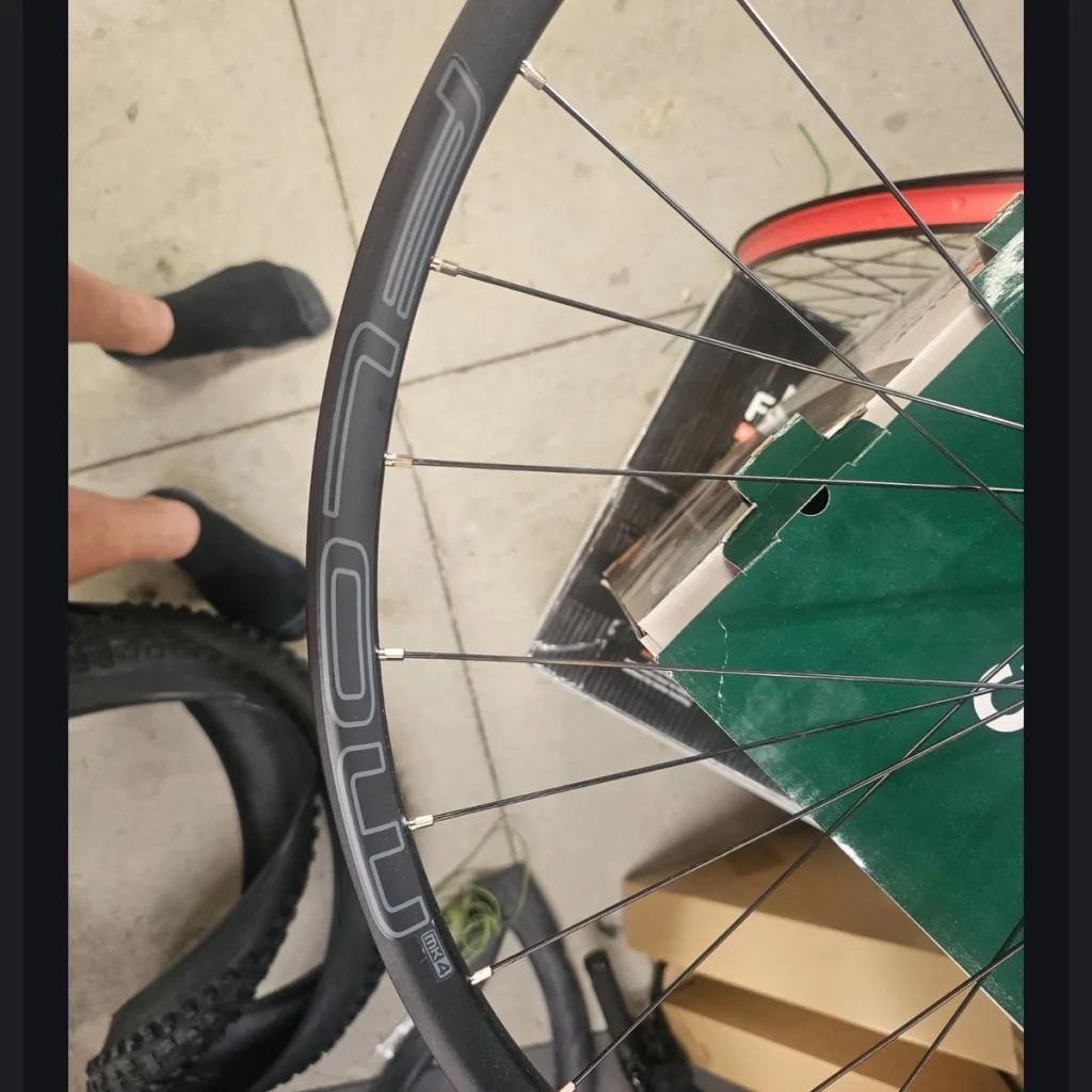 Image #3 from MARK SALAS